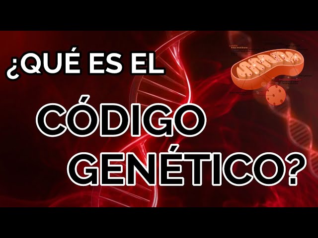 ALL about the GENETIC CODE and DNA 🧬