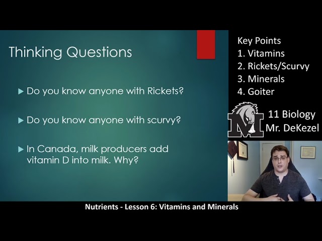 Lesson 6 Updated Version -  Vitamins and Minerals  - Nutrients
