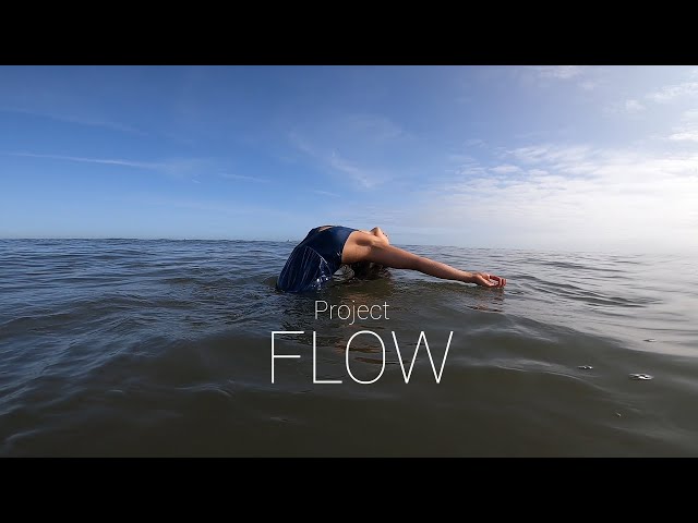 Project FLOW film