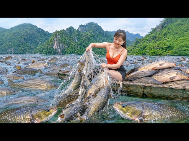 185Day Casting Net Harvesting A Lot Of Big Fish Go To Sell -- Harvest Many Snail, Mussel At Mud Pond