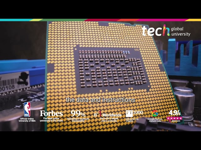 ¿What is the function of computer memory? | TECH Global University