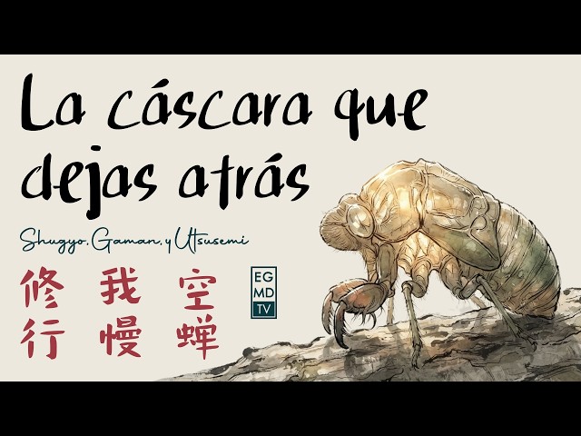 UTSUSEMI: The Shell You Leave Behind, according to Japanese wisdom