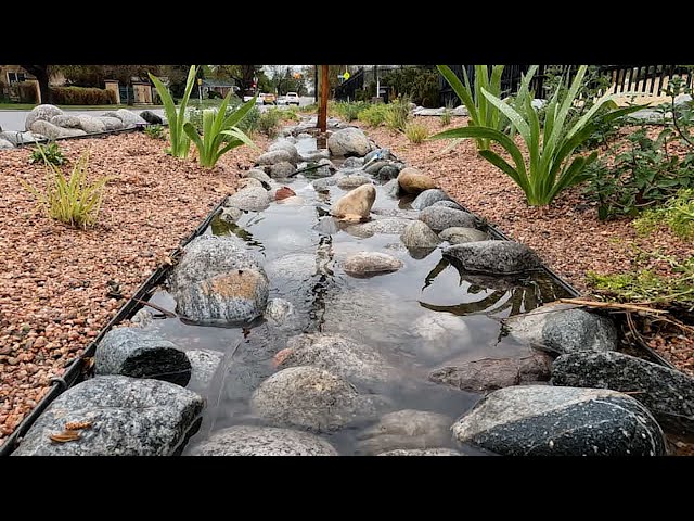 Green infrastructure project at Denver Water