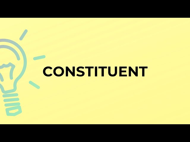 What is the meaning of the word CONSTITUENT?