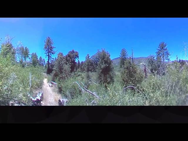 Paso Picacho Nature Trail Stop 12