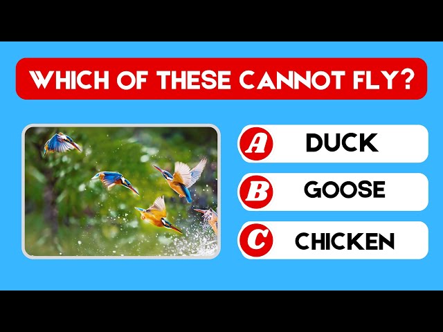 How good is your knowledge of animals? | 60 Animal trivia quizzes | Animal facts & knowledge |