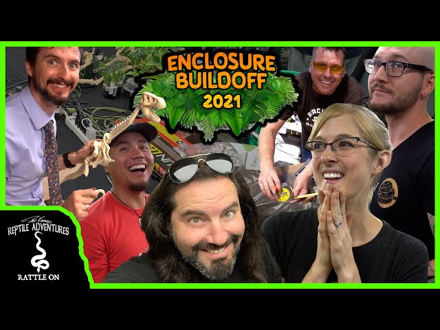 EVERYTHING THAT HAPPENED IN THE SNAKE DISCOVERY REPTILE ENCLOSURE BUILD-OFF COMPETITION! (almost)