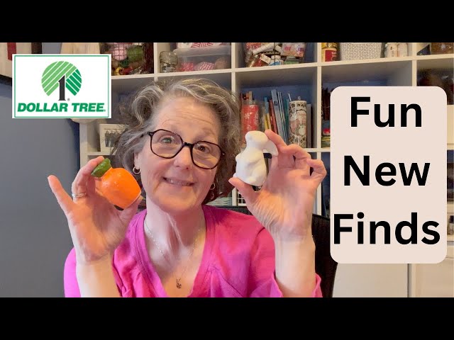 Dollar Tree Haul | Fun New Finds