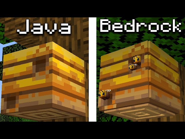 Java vs Bedrock
