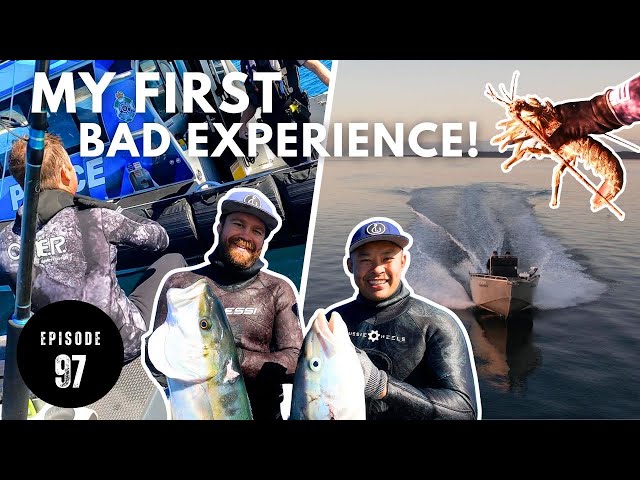 MY FIRST BAD DIVE EXPERIENCE | SPEARFISHING in our BACKYARD | LOBSTER TUSKFISH & HUGE KINGS - Ep 97