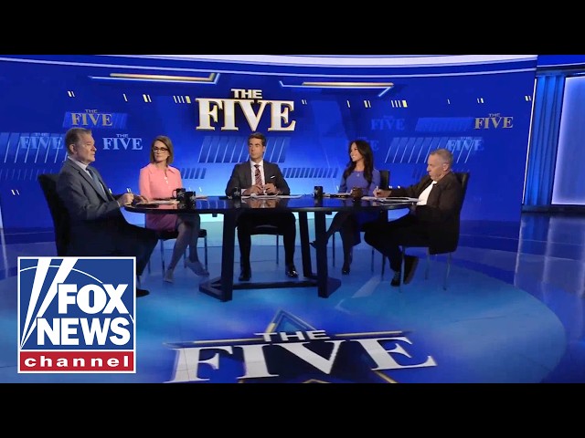 ‘The Five’: Schumer speaks on 'BIG TENT' party…