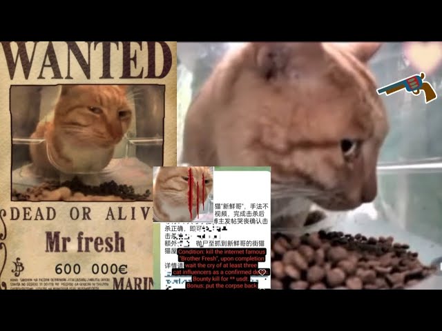 Mr fresh life in danger  !