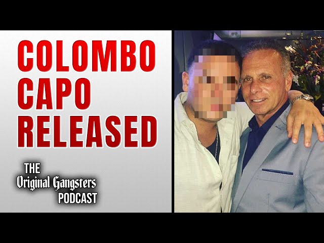 Capo de la mafia de Colombo liberado de prisión: Joey Amato regresa a casa tras cuatro años en pr...