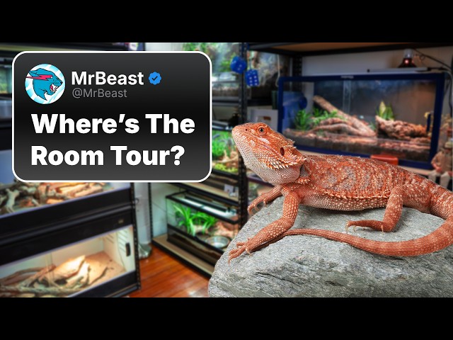 Reptile Room Tour
