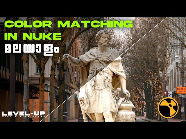 Mastering Color Matching in Nuke - Malayalam Tutorial | Level-up | Harikrishnan G