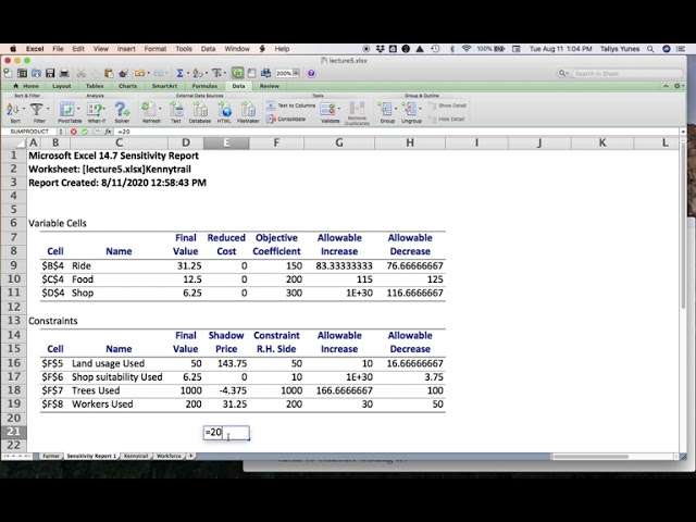Linear Programming Sensitivity Analysis with Excel Solver: An Amusement Park Example