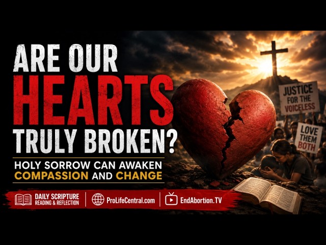 Do Our Eyes Weep Over the Evils of the World? | Daily Scripture Reflection – July 28, 2026