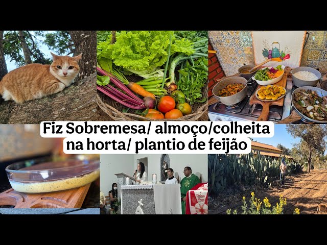 EL POSTRE PERFECTO / ALMUERZO DELICIOSO / COSECHA / MISA / PLANTANDO FRIJOLES