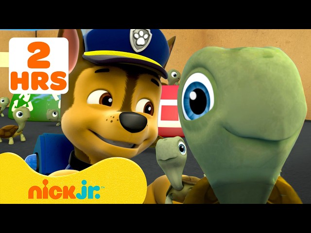 TURTLE-y Cool Moments with PAW Patrol! 🐢 | 2 Hours | Nick Jr.