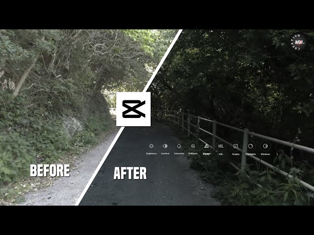 How to Create Dark Cinematic Forest Look in CapCut | Step by Step #capcut #capcuttutorial 