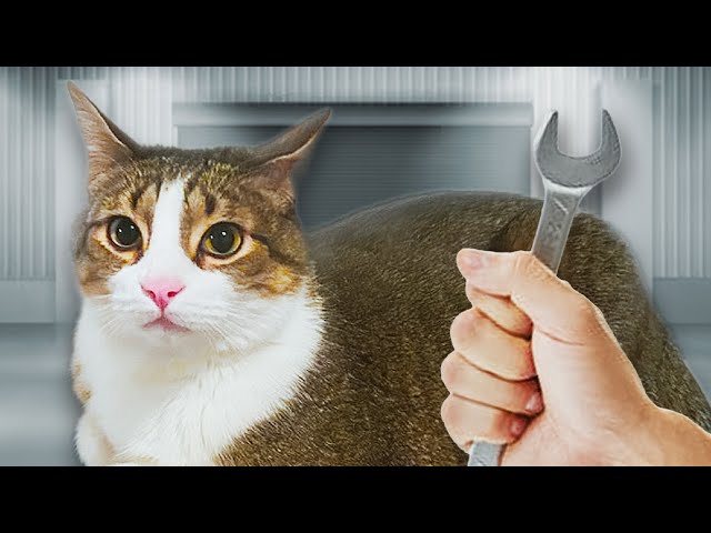 How To Maintenance Your Car