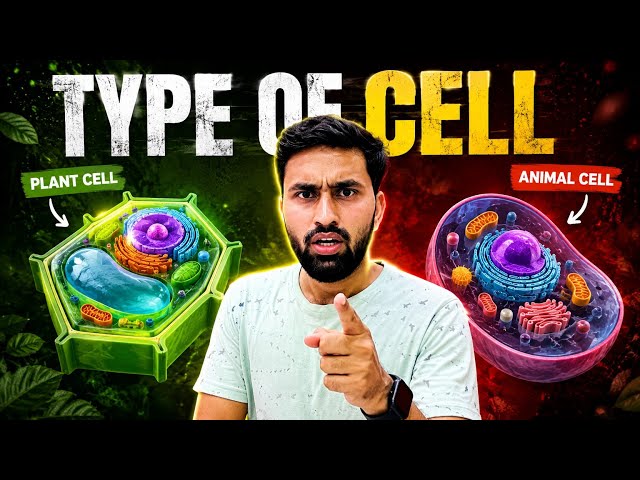 Types of cell🤗 | prokaryotic and eukaryotic cell | Plant and animal cell 