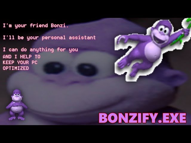 Bonzify.exe | Your personal destructive assistant?