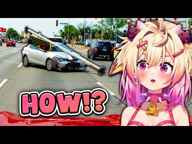 How did they get their LICENCE?! || Rosie Reacts to the DUMBEST Drivers on the Internet