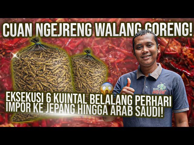 WALANG GORENG GUNUNGKIDUL IMPOR KE JEPANG HINGGA ARAB⁉️PRODUKSI TEMBUS 6 KUINTAL PERHARI