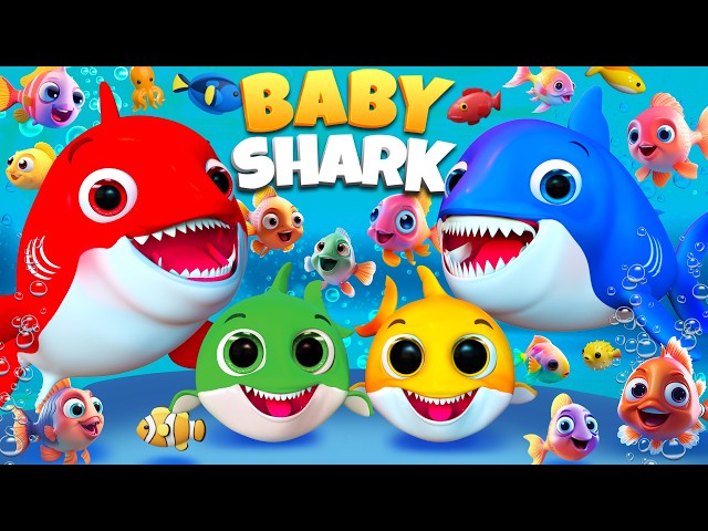 Baby Shark and Friends & More Lovely Songs for Children | Coco Shark After School Club #babysongs