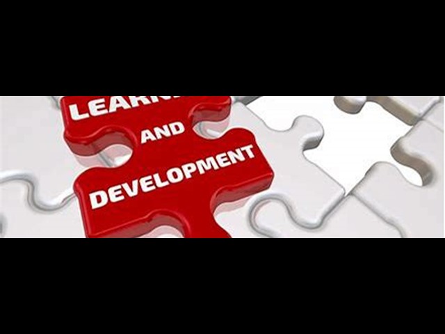 Learning and Development: New Perspectives