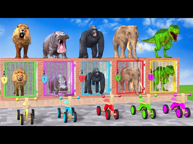 Long Slide Game With Cow Elephant Gorilla Hippopotamus Tiger - 3d Animal Game - Funny 3d Animals