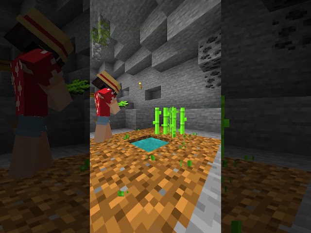 How to get RICH on the Public Lifesteal SMP!  #minecraft #minecraftserver #hyrise