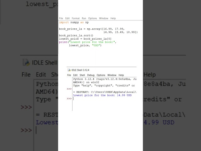 Array in Python numpy