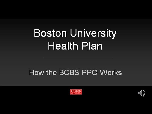 Understanding the BCBS PPO