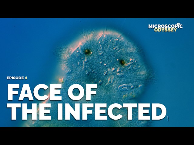 The Bizarre Sex Life of Ancient Parasites