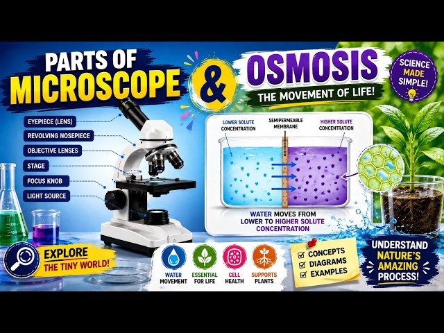Parts of a Microscope & Osmosis | Biology Explanation | Teacher–Student Learning #microscope