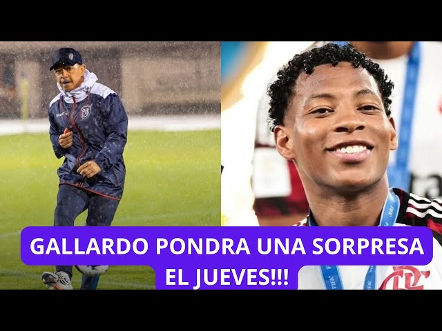 The coach of the Ecuadorian national team would go against all opinion and play this player.