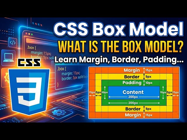 CSS Box Model Explained for Beginners | Margin, Border, Padding