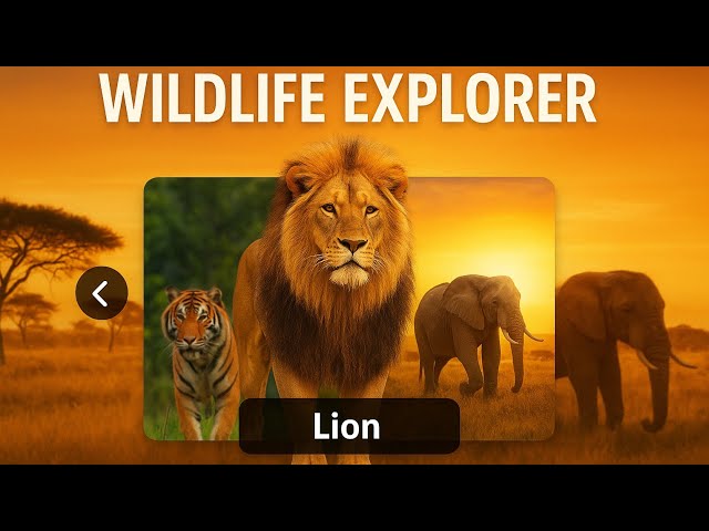 Animal Image Slider | HTML CSS JavaScript | Simple Photo Slider Tutorial