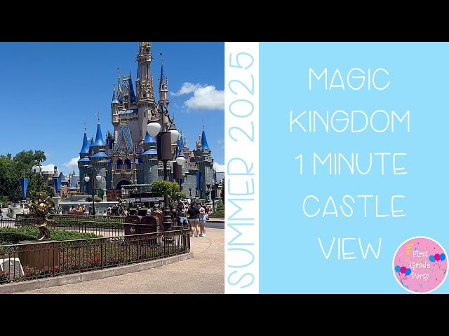 Cinderella’s Castle at Disney World 1 Minute of Magic ✨