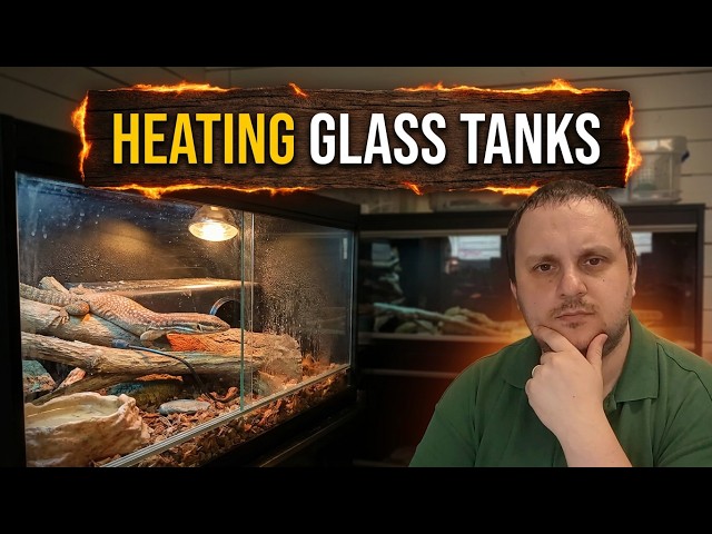 How to Keep the Perfect Temperature in a Glass Reptile Enclosure