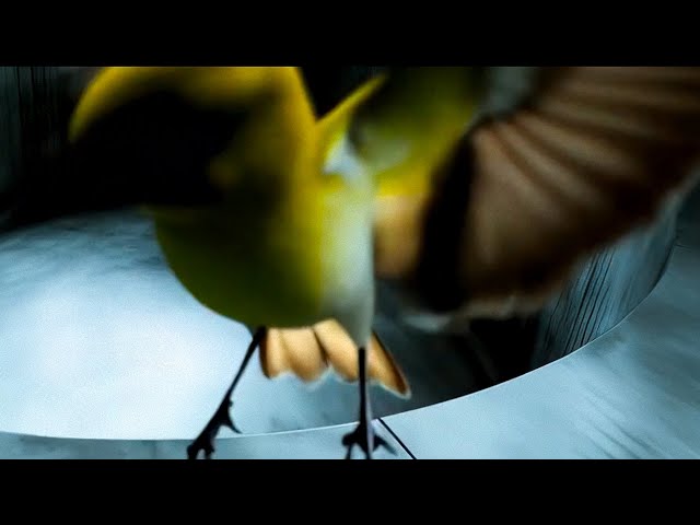 Clara La San - Unplanned (Visualizer)