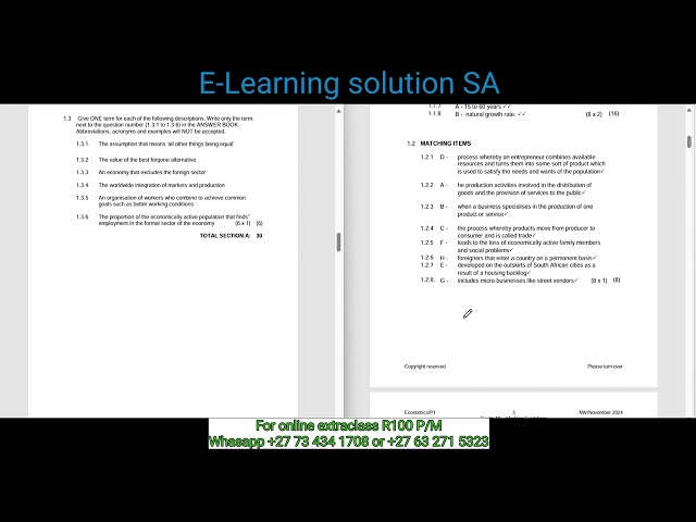 Grade 10 Economics Term 4 | Exam paper 1 of 2025