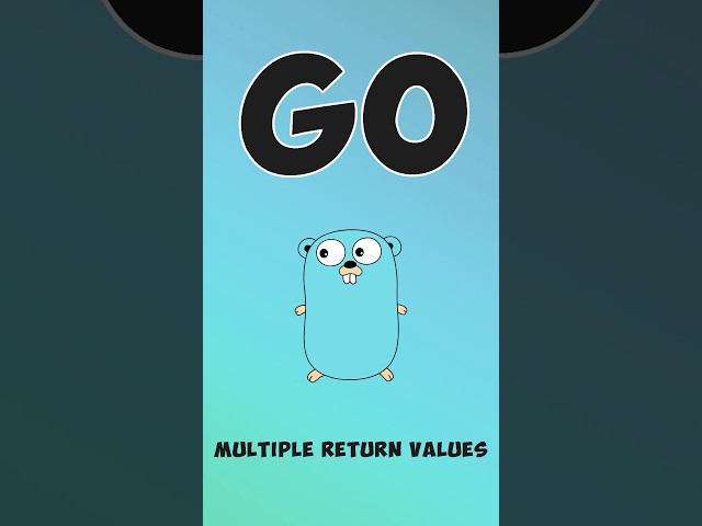 Working With Multiple Return Values in Go #devologist