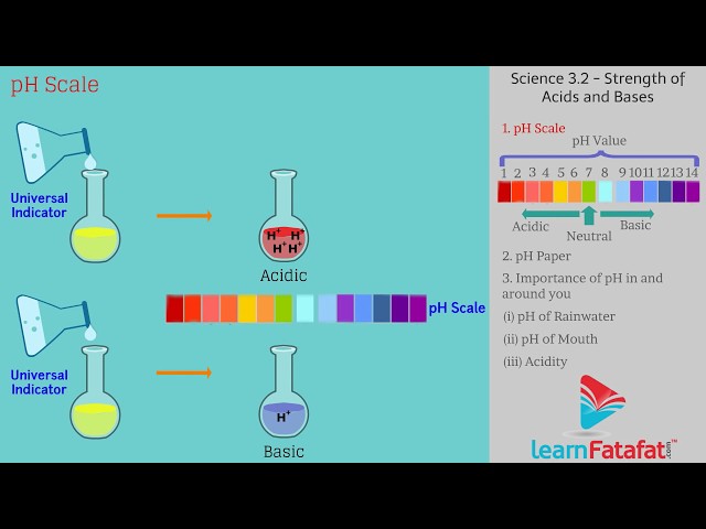 Strength of Acid and Base Solution ph Scale Class 10