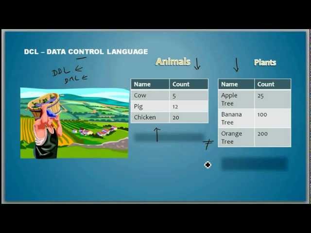 What is a Data Control Language - Database Tutorial 7