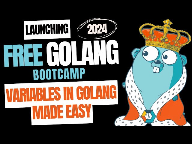 Episode 7: Go Variables: Super Simple Explained! #grappltech #programminglanguage #freecourse #free