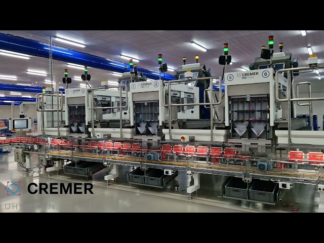 Cremer - DIRECT-IN-BOX Counting and packaging systems