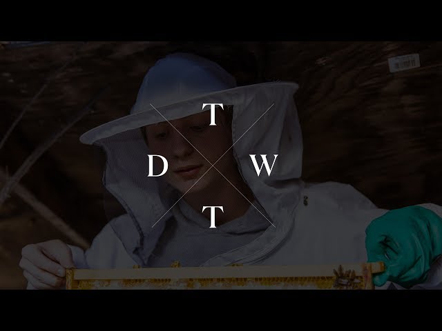 014 - 015 | A Bee Movie: A Look Inside of Christian Hunter's Apiary
